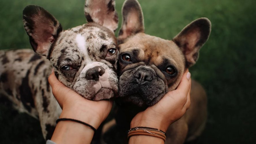 Потеряшка_4