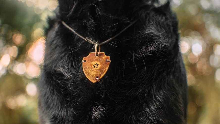 Потеряшка_1