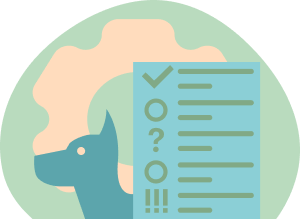 Шапка Новости