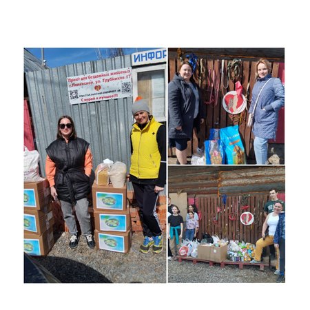 Untitled Project (14)