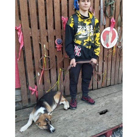 Untitled Project (19)