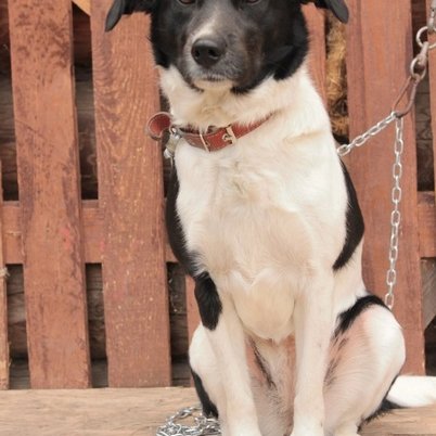 изображение_2023-07-29_100627501