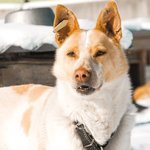 изображение_2023-08-20_181833462