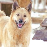 изображение_2023-08-20_180310802