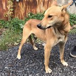 изображение_2023-08-20_190705262