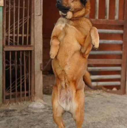 изображение_2023-08-20_181100955