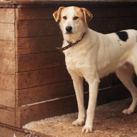 изображение_2023-08-20_192937227