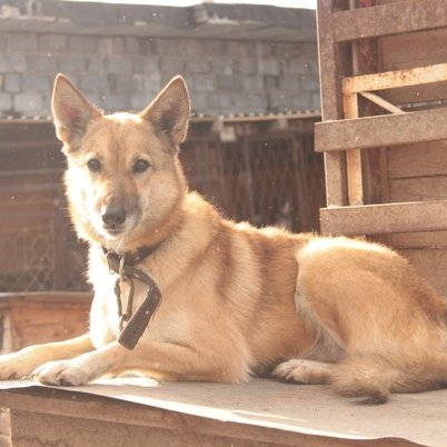 изображение_2023-08-20_175625091