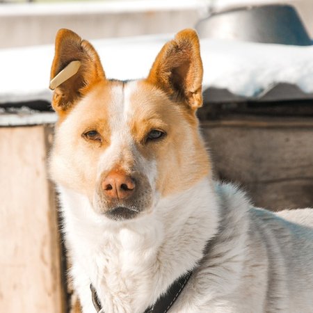 изображение_2023-08-20_181843262