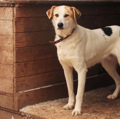 изображение_2023-08-20_192937227