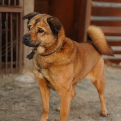 изображение_2023-08-20_181050100