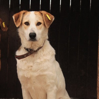 изображение_2023-08-20_192926367