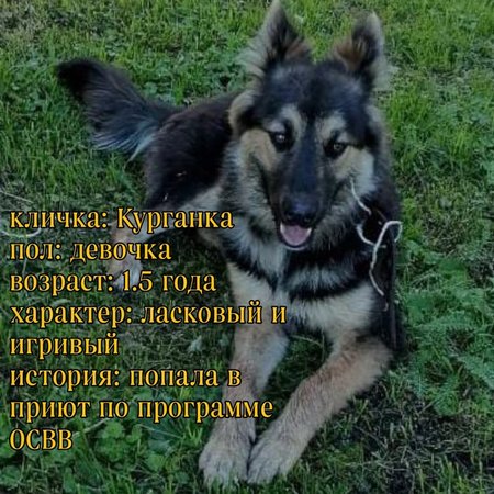 изображение_2023-09-26_073951603