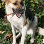 изображение_2023-10-28_143916122