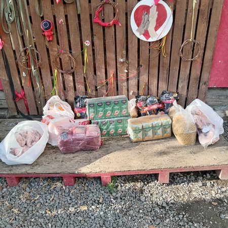 изображение_2023-10-28_143413836