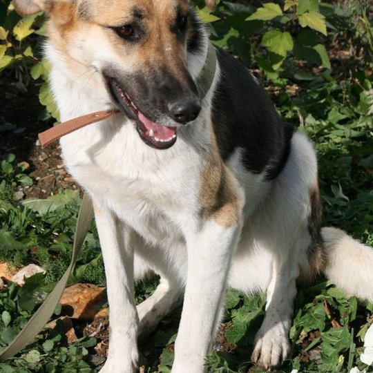 изображение_2023-10-28_143916122