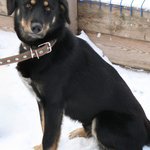 изображение_2023-11-06_161235641