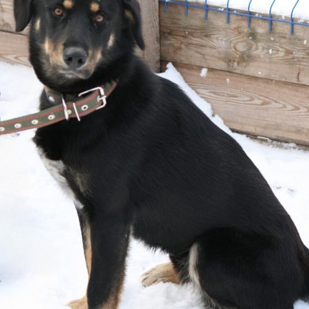 изображение_2023-11-06_161235641