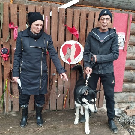 изображение_2023-11-08_205342081