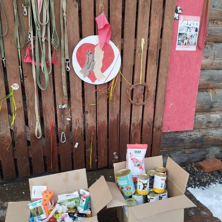 изображение_2023-12-01_130422881