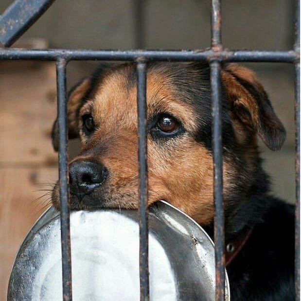 изображение_2024-05-31_234451095