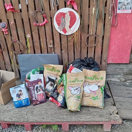 изображение_2024-06-01_182930594