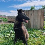 изображение_2024-07-01_115441132