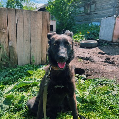 изображение_2024-07-01_115457641