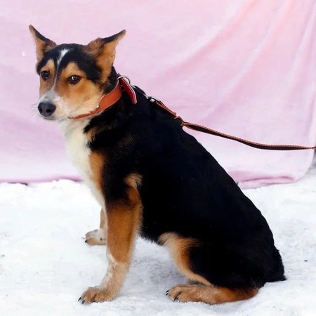 изображение_2024-07-01_114923552