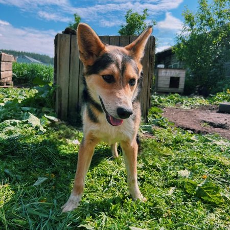 изображение_2024-07-01_114954784