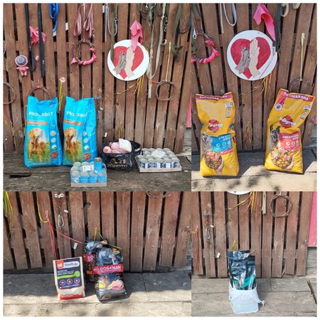 изображение_2024-07-01_131211482