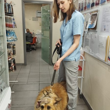 изображение_2024-07-01_120857260