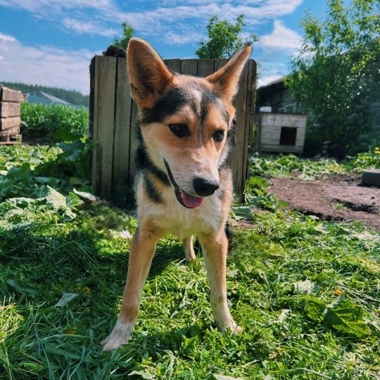 изображение_2024-07-01_114954784