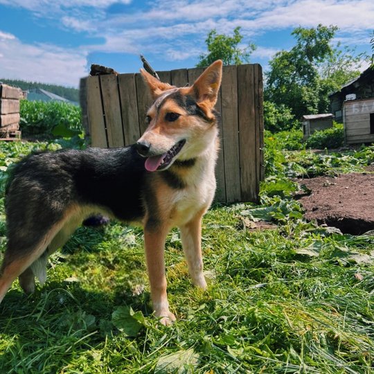 изображение_2024-07-01_114941462