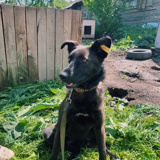 изображение_2024-07-01_115513712